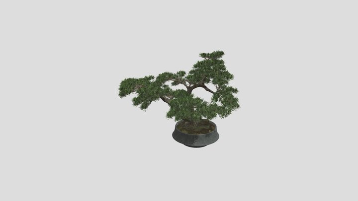 Chinese Vase