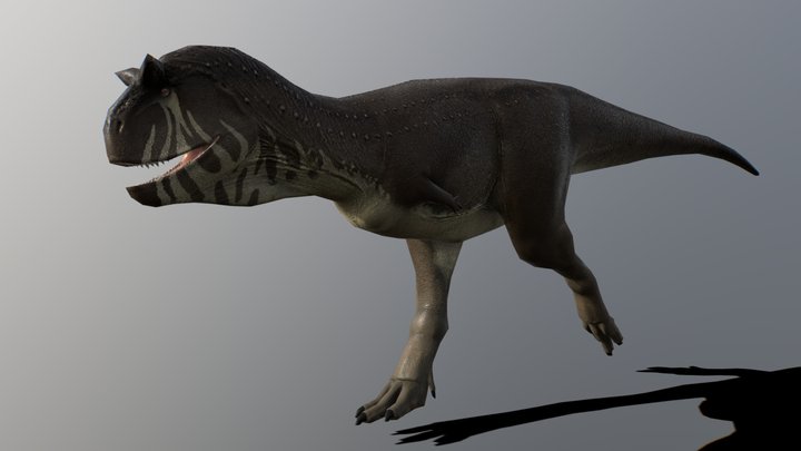 Low Poly Carnotaurus + Sprint Animation 3D Model