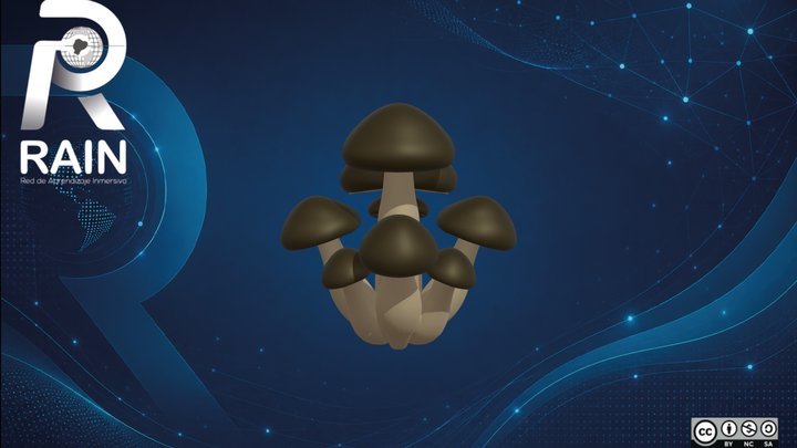 Greasers (Suillus Spp.) – Free 3D Model STL