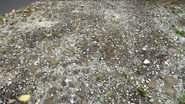 Ground 01 Fine (2X2) 3D Model