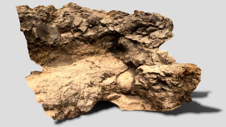 Rocky Hill Surface_02 3D Model