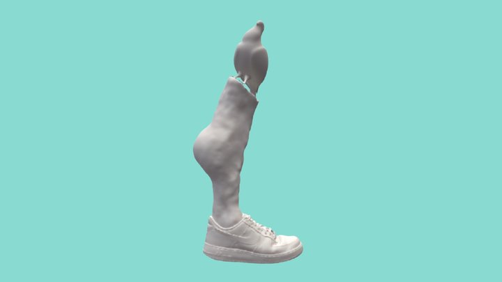 Shoe Leg Pigeon 1 3D Model