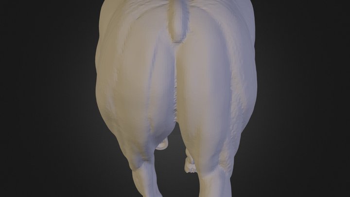 Horse Submit01 3D Model