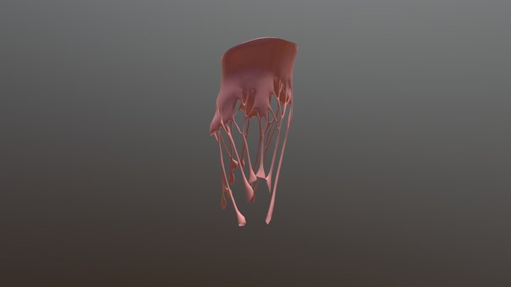 CL V2 3D Model