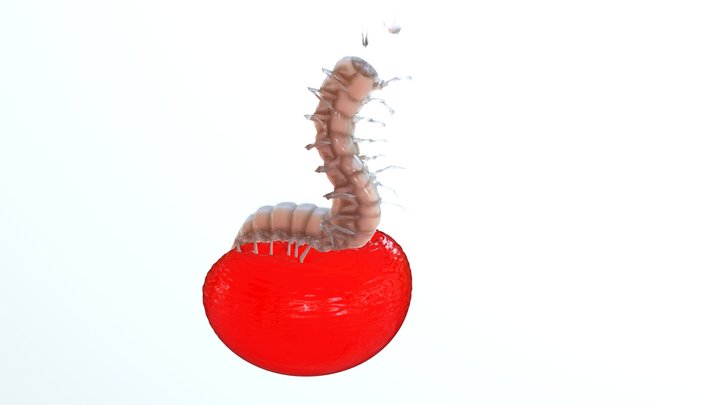 Bloodworms & Butterflies 3D Model