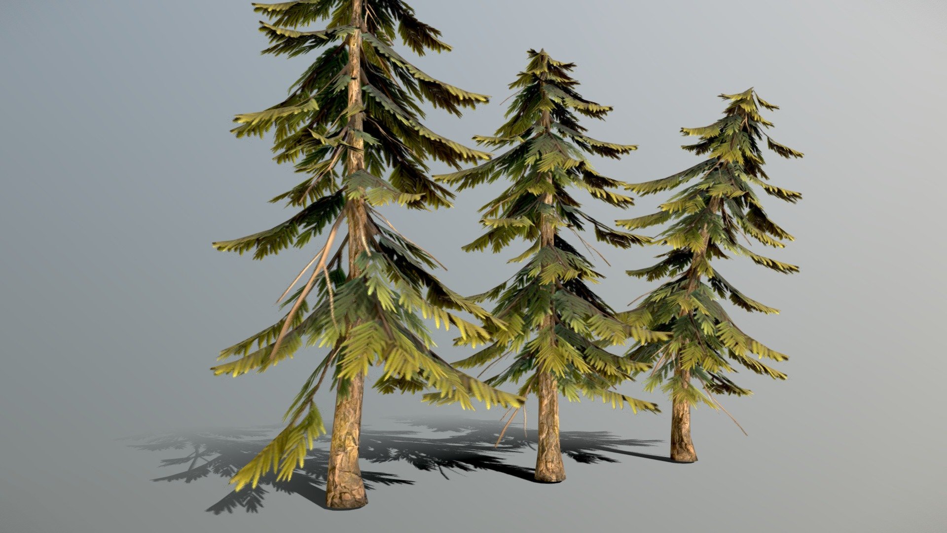 Fir Tree Stylized - Download Free 3D model by AnnaBelle Fibonacci ...