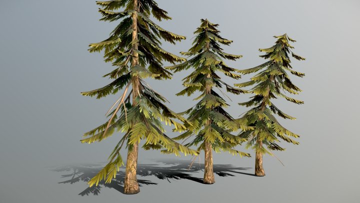 Fir Tree Stylized 3D Model
