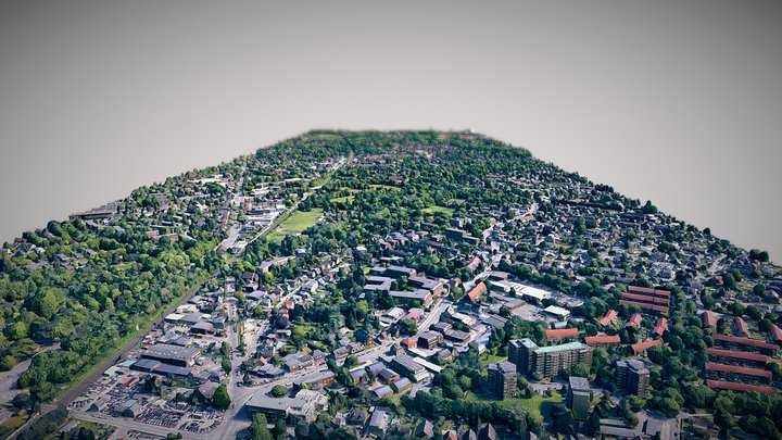 Hamburg City District Large 3D Scan 3D Model