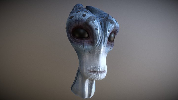 Salarian Head 3D Model