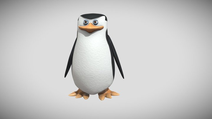 Skipper