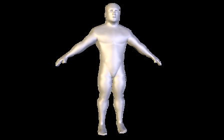 Muscular Base Mesh 3D Model
