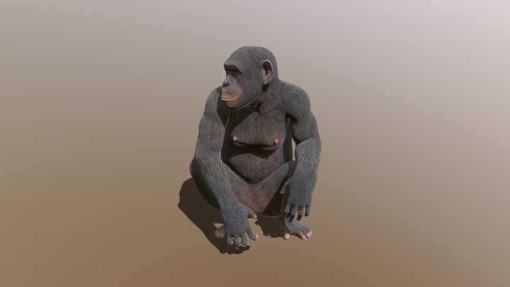 Ape 3D Model
