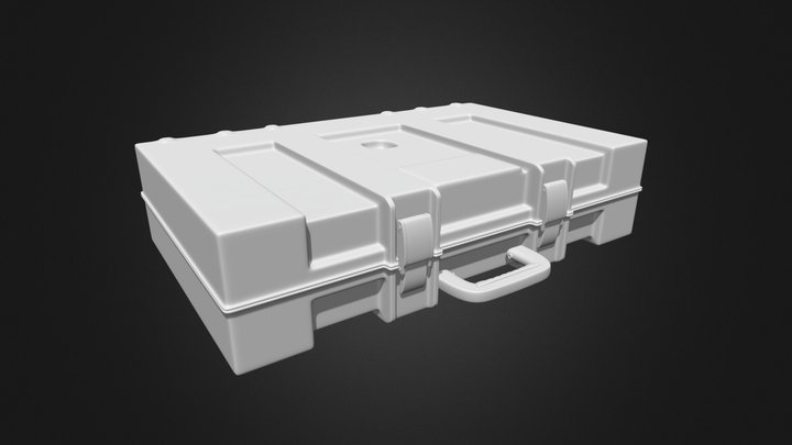 Case 3D Model