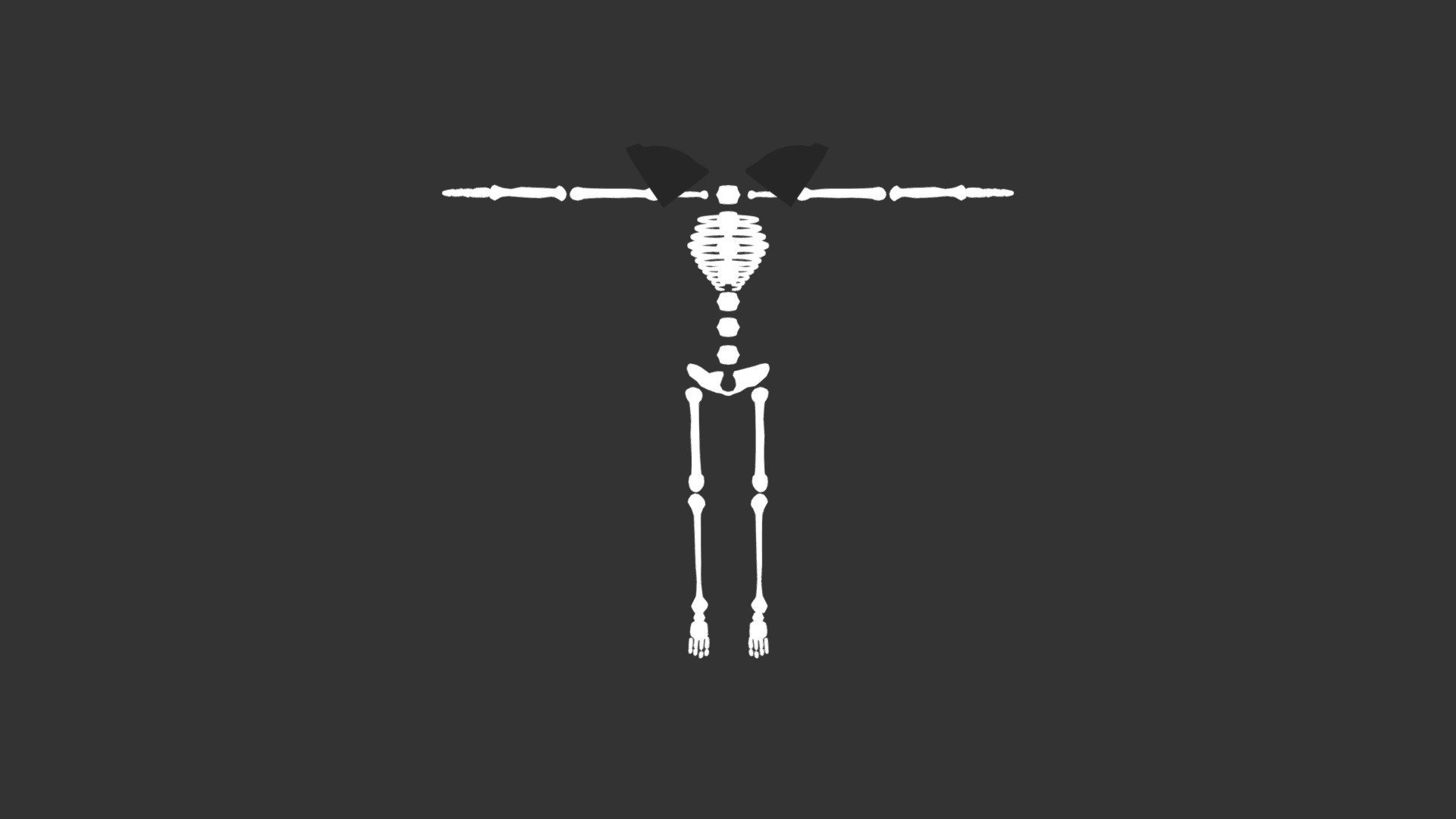 Skeleton [VRChat]