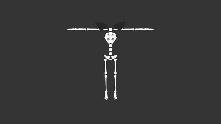 Skeleton [VRChat] 3D Model