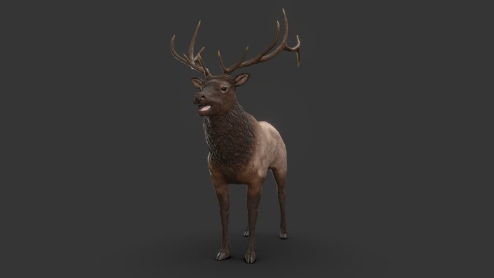 Game Ready Elk Model 3D Model