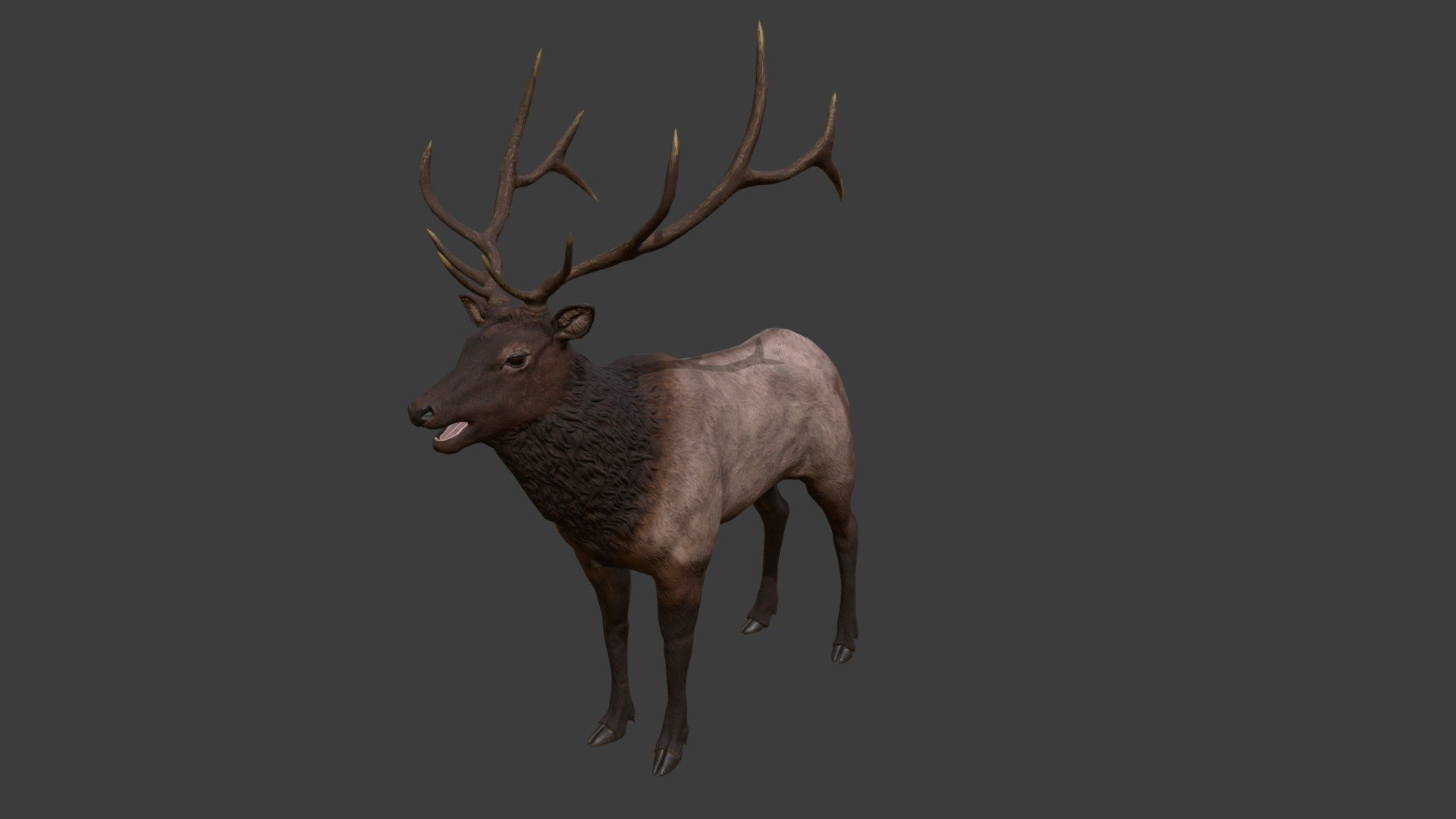 Game Ready Elk Model - 3D model by ethan_dewaard [f48e1b4] - Sketchfab