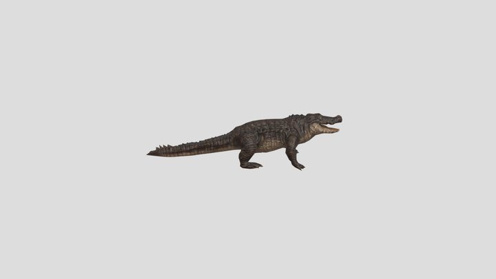 Aligator from granny(Granny 3) 3D Model