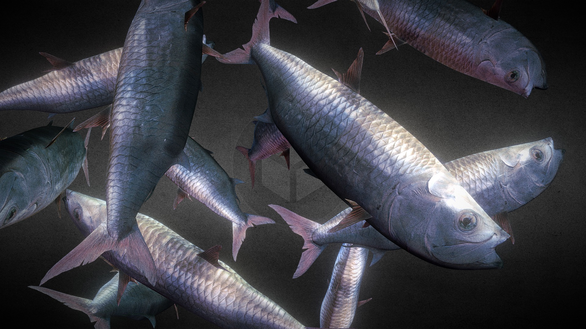 3D model Fish - This is a 3D model of the Fish. The 3D model is about a group of fish.