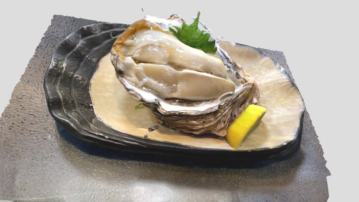 Rock Oyster 3D Model