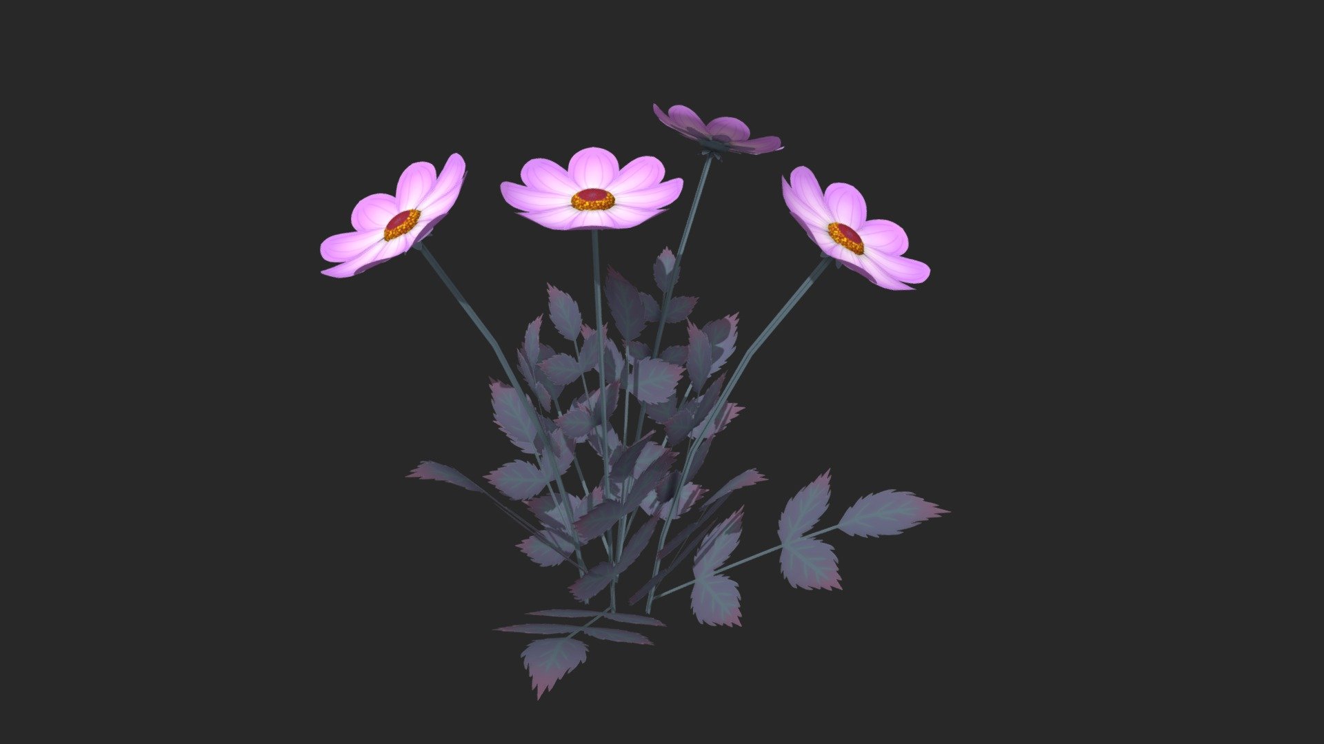 Dahlias