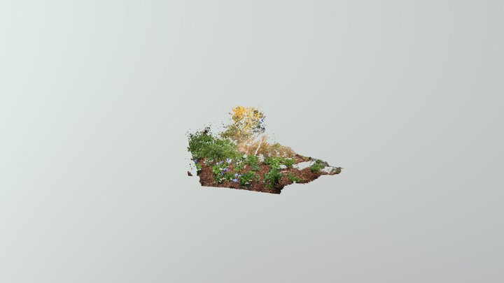 Little Plants Without Trunk 3D Model