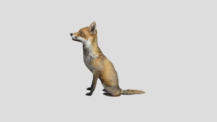 Animated Fox 3D Model