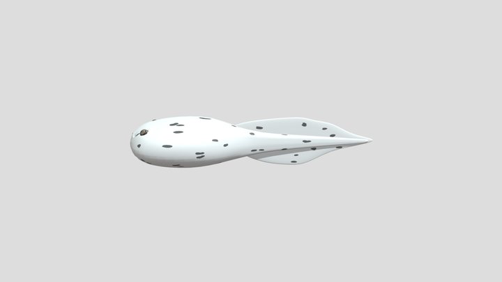 Tadpole / Kecebong 3D Model