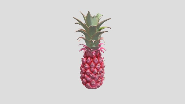 Wild Pineapple 3D Model