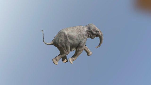 LLL Baby Mammoth Test 2 3D Model