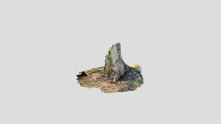 Cobbittee and MHR 3D Model