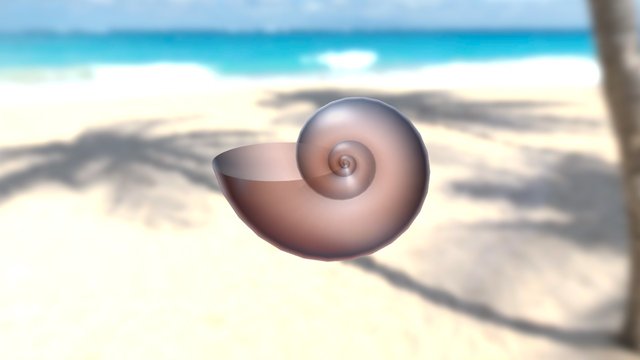 Seashell 3D Model