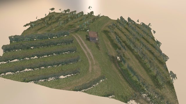 Points 3D Model
