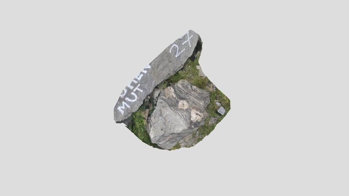 Boudinage 3D Model