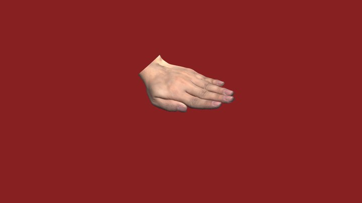Handheld