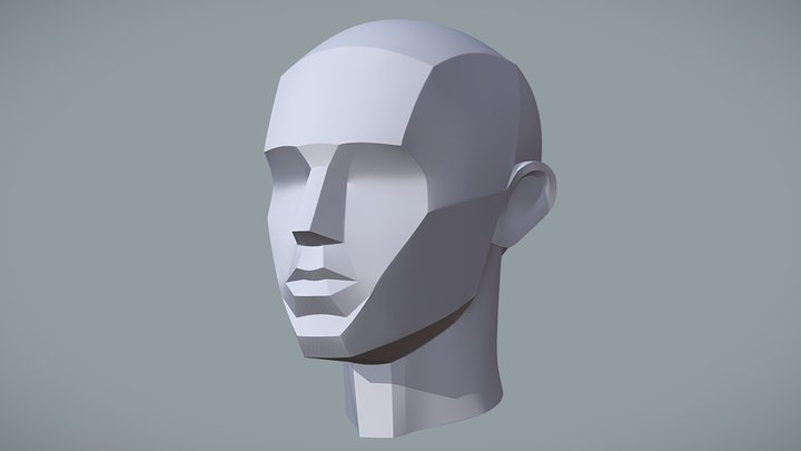 Basic Head Structure 3D Model