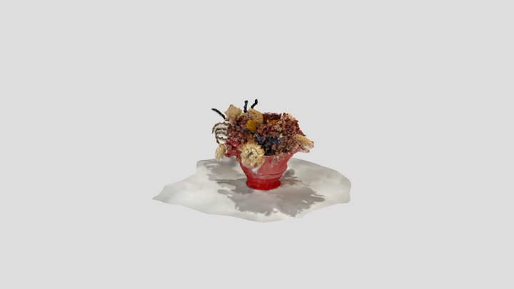 Untitled Scan 3D Model