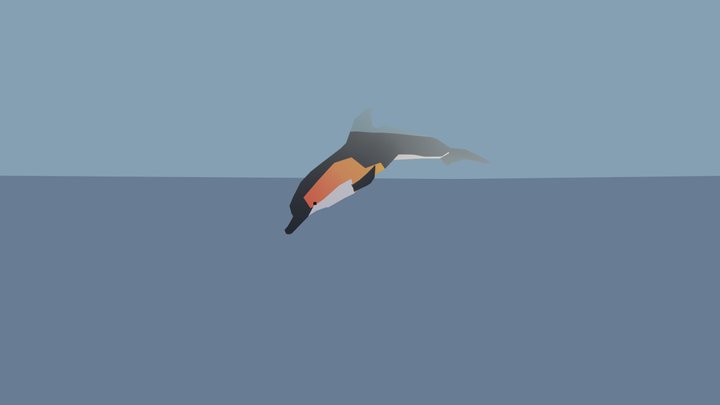 Dolphin - animated - marine mammals series 3D Model