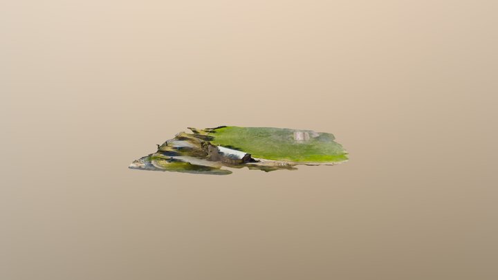 Surrey Park, Victoria 3D Model