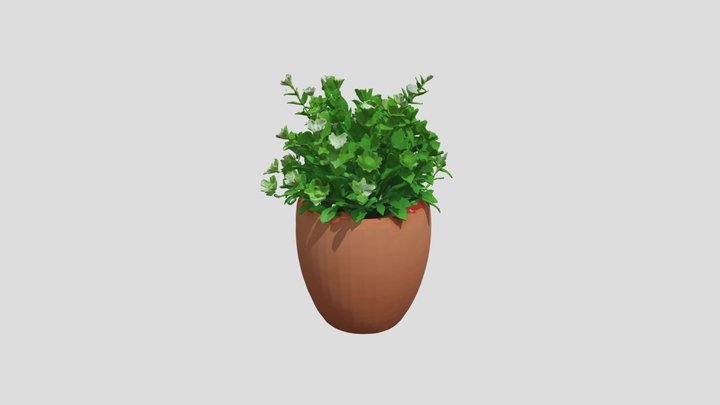 Potted Plant 3D Model