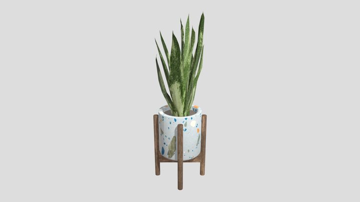 SNAKE PLANT 2 LOW POLY 3D Model