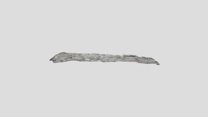 Untitled Scan 3D Model