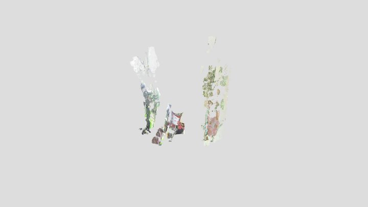 king.asc 3D Model