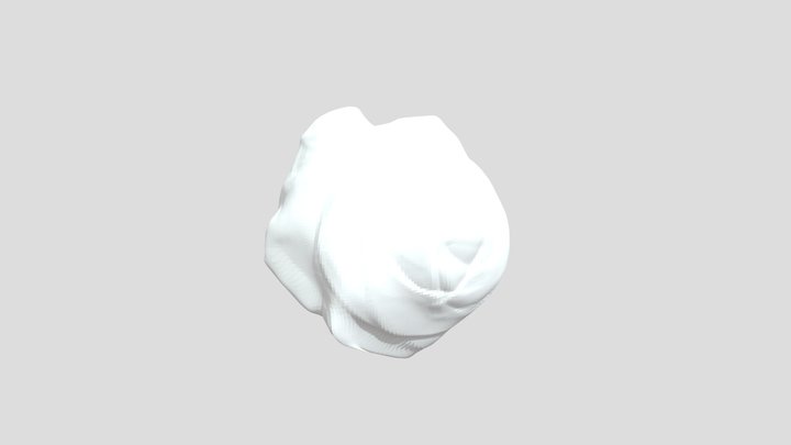 Campos0302 Sculpt – Free 3D Model STL