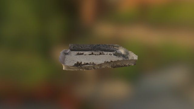 low res livens 3D Model