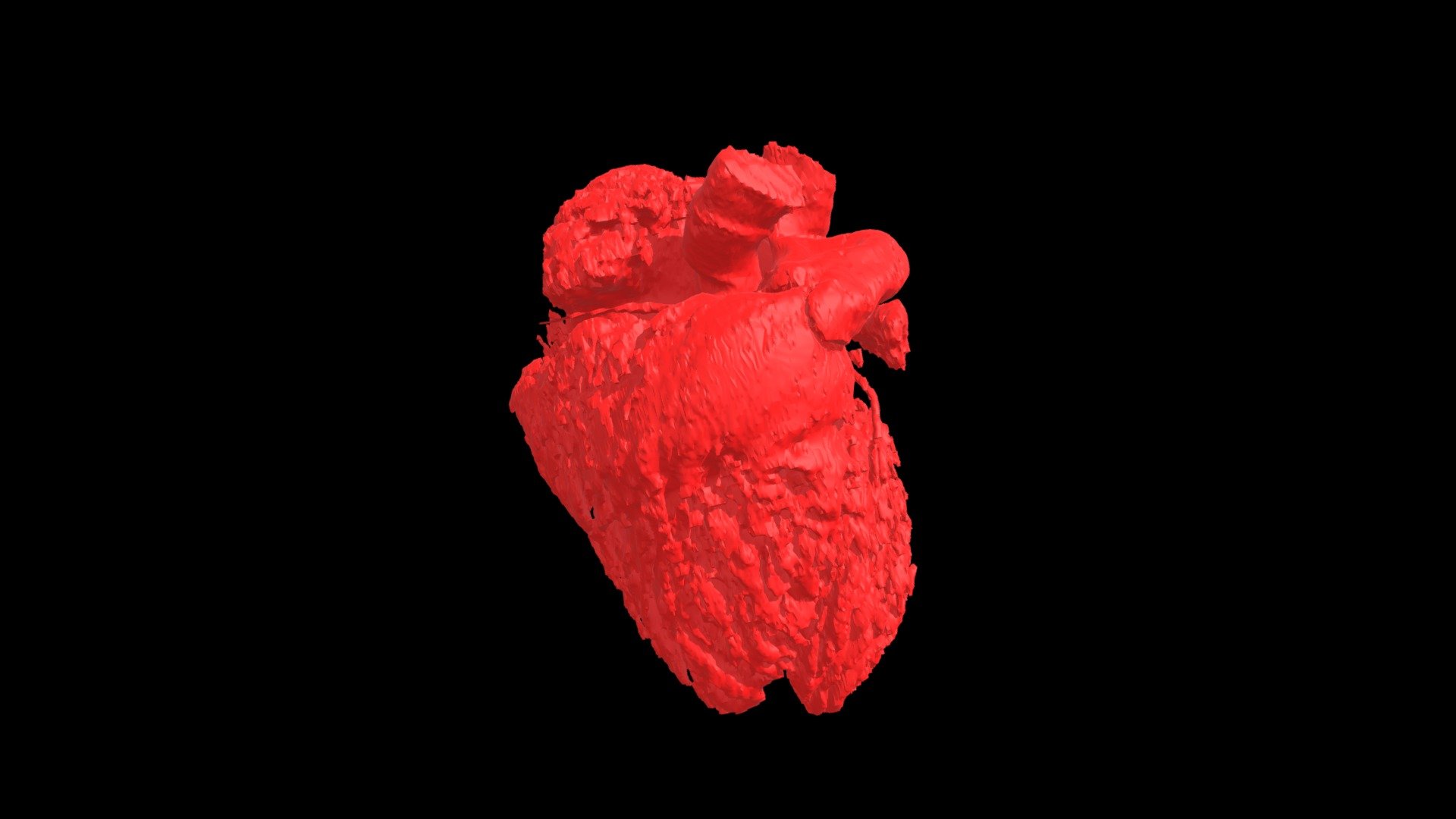 Healthy Pediatric Blood Volume Model Heart0102 Download Free 3D