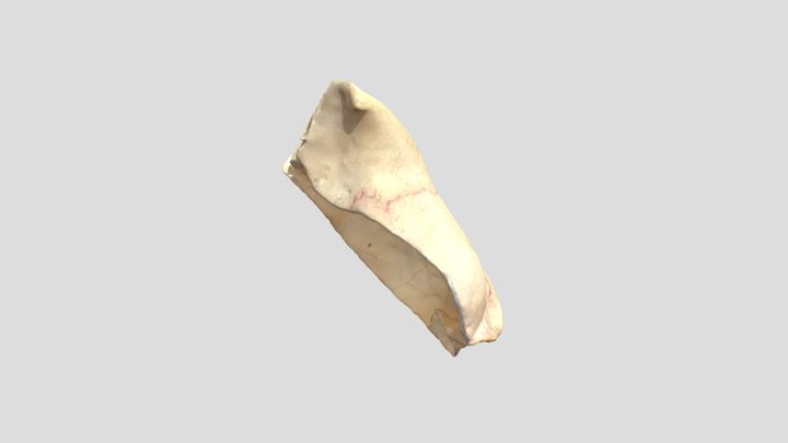 03 3D Model