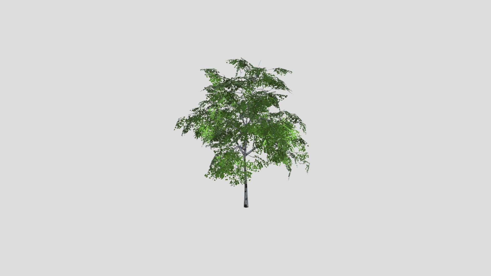 Test - Download Free 3D model by event1329211 [f4bf63d] - Sketchfab