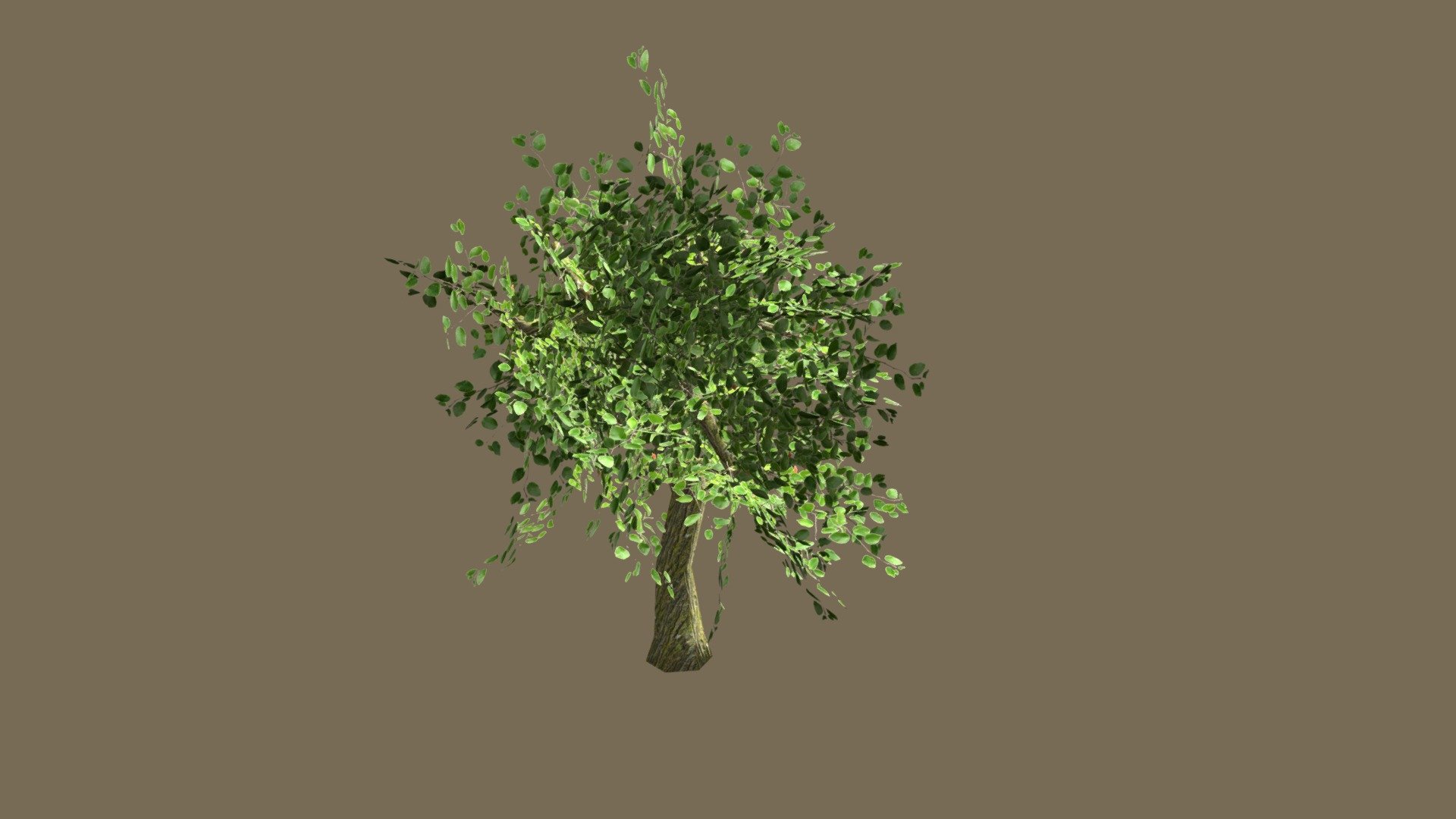 Tree_LowPoly