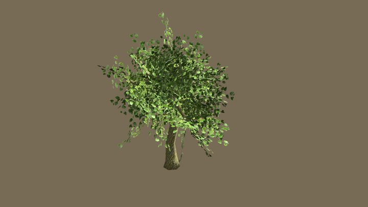 Tree_LowPoly 3D Model